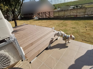 愛犬の足にも優しいウッドデッキ空間