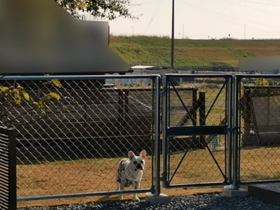 愛犬の足にも優しいウッドデッキ空間